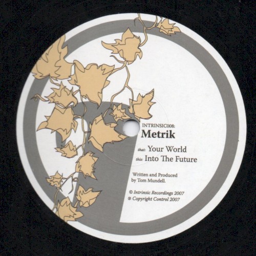 Your World / Into the Future封面