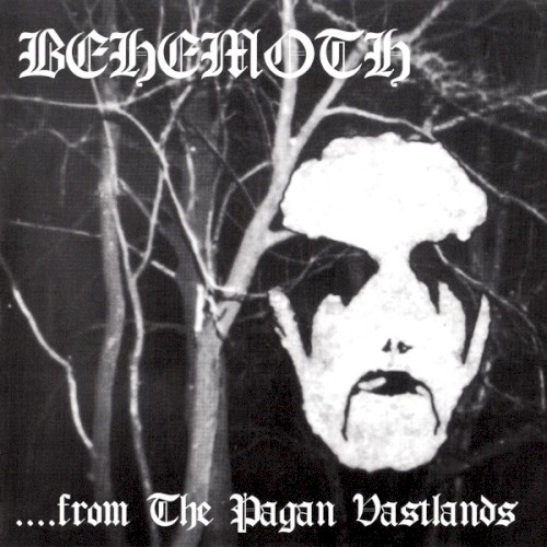 …From the Pagan Vastlands封面