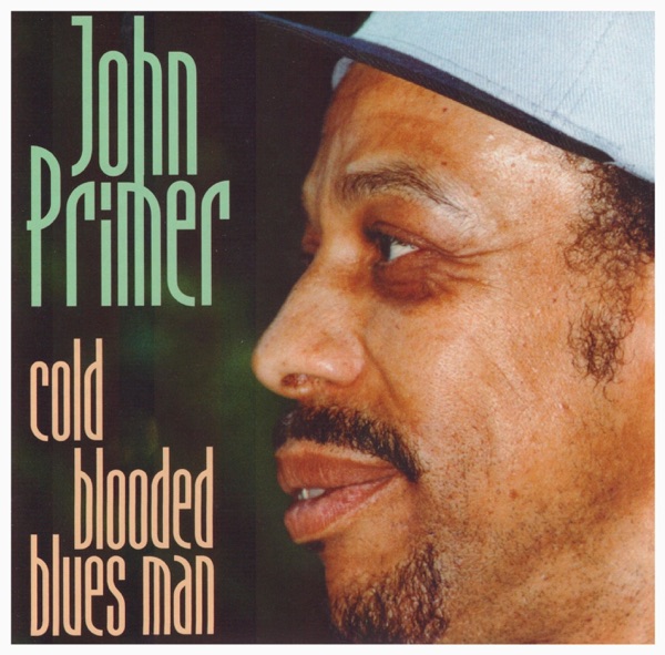 Cold Blooded Blues Man封面