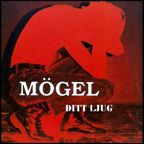 Ditt ljug封面
