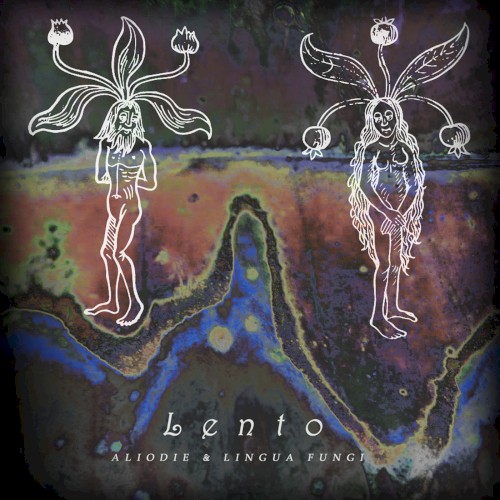 Lento封面