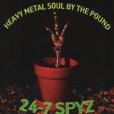 Heavy Metal Soul by the Pound封面