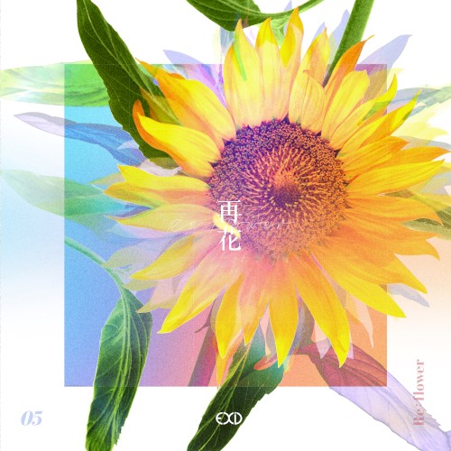 [Re:flower] PROJECT #5封面