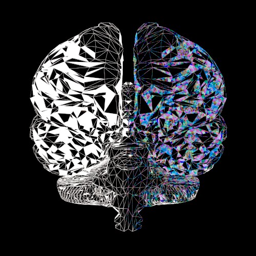 Dual-Brained²封面