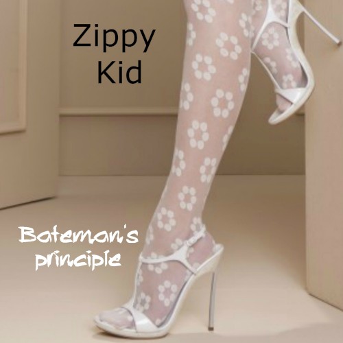 Bateman's Principle封面
