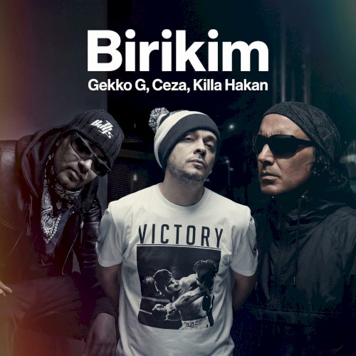Birikim封面