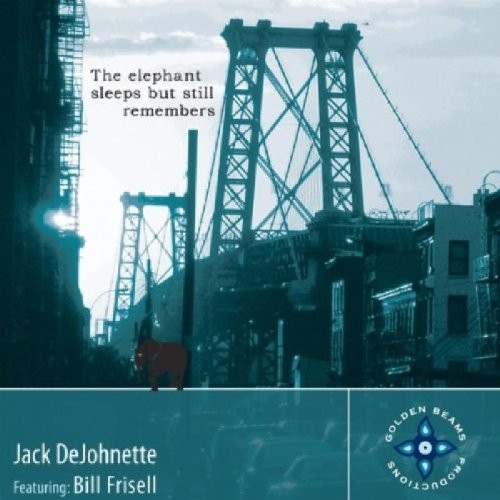 The Elephant Sleeps but Still Remembers封面