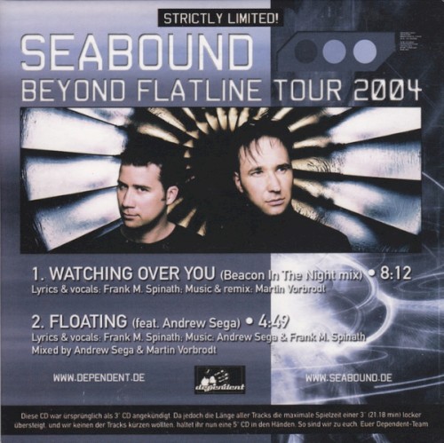 Beyond Flatline Tour 2004封面