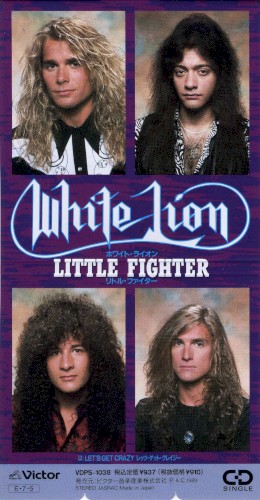 Little Fighter封面