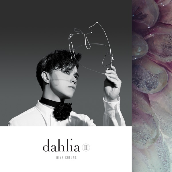 Dahlia II封面