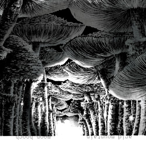 Acid Mountain封面