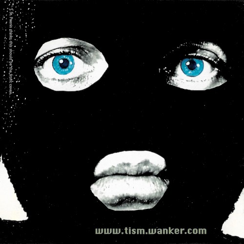 www.tism.wanker.com封面