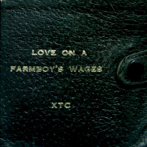 Love on a Farmboy’s Wages封面