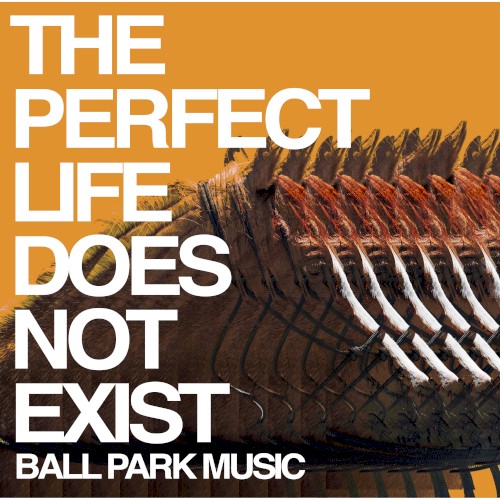 The Perfect Life Does Not Exist封面