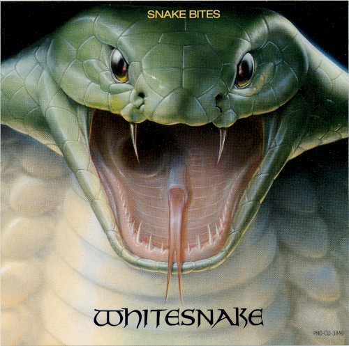 Snake Bites封面