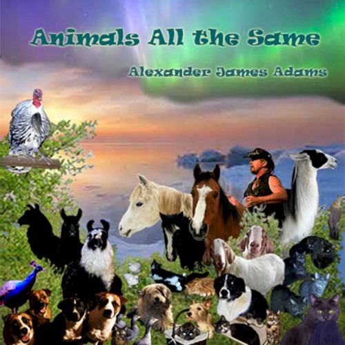 Animals All the Same封面