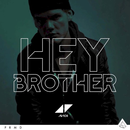 Hey Brother封面