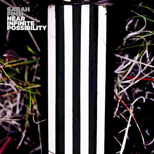 Near Infinite Possibility封面