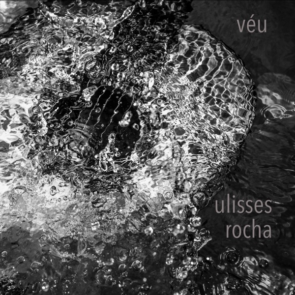Véu封面