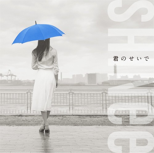 君のせいで封面
