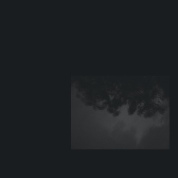 What Wind Whispered to the Trees封面
