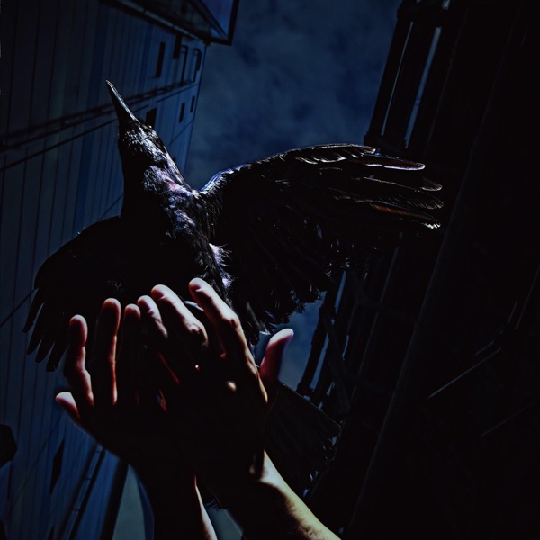 Cold Edge e.p.封面