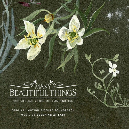Many Beautiful Things (Original Motion Picture Soundtrack)封面