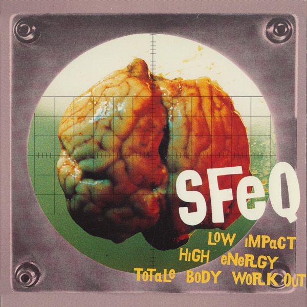 Low Impact High Energy Totale Body Workout封面