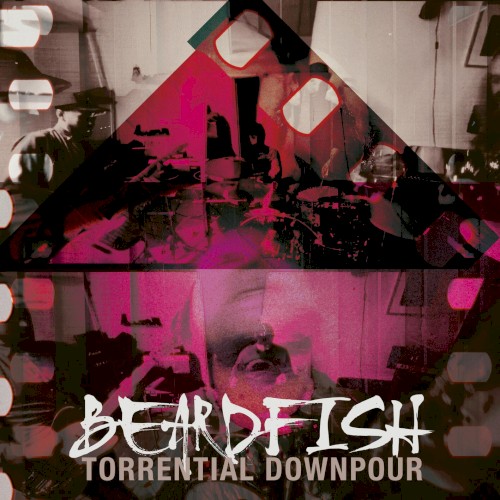 Torrential Downpour封面