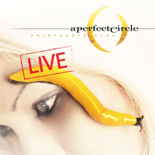 Thirteenth Step: Live封面