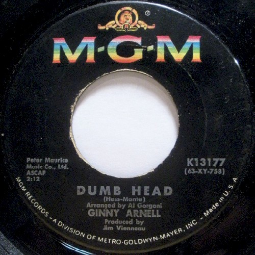 Dumb Head封面