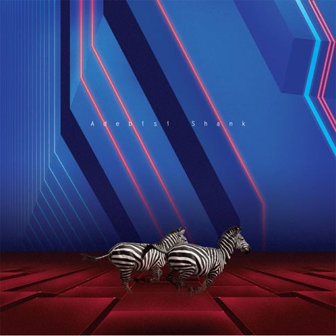 This Is the Second Album of a Band Called Adebisi Shank封面