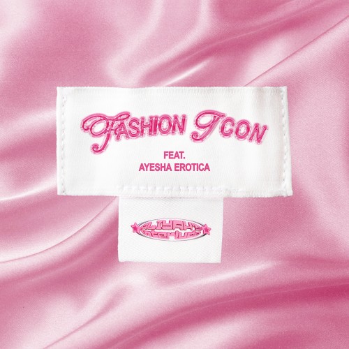 Fashion Icon封面
