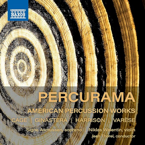 American Percussion Works封面
