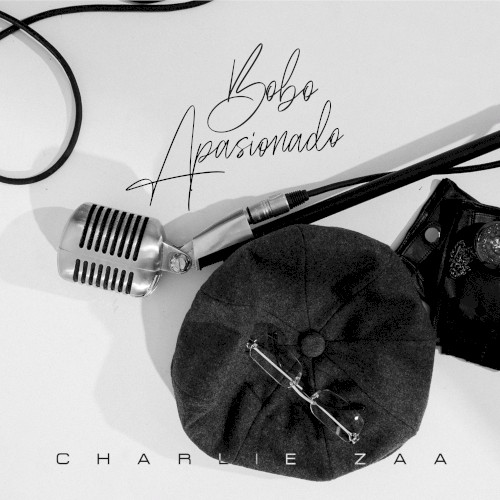 Bobo apasionado封面