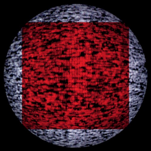 Square Peg in a Round Hole封面