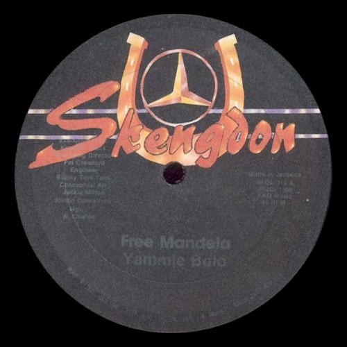 Free Mandela封面