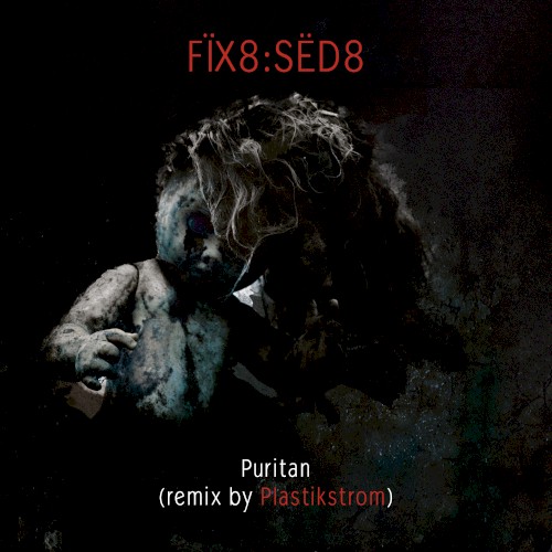 Puritan (Plastikstrom)封面
