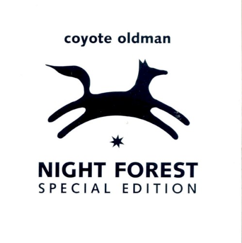 Night Forest封面