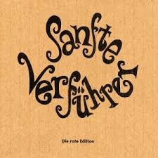 Sanfte Verführer封面