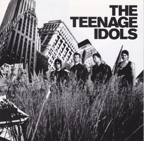 The Teenage Idols封面