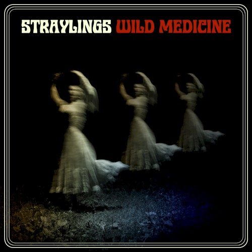Wild Medicine封面