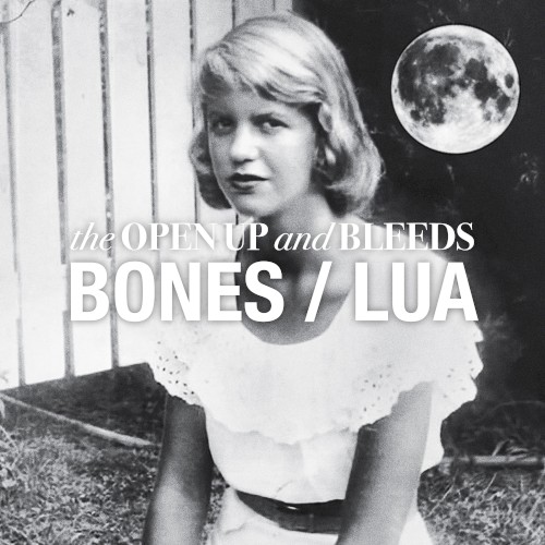Bones/Lua封面