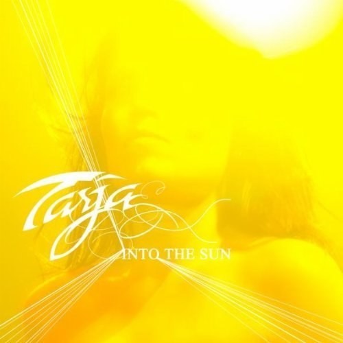 Into the Sun封面