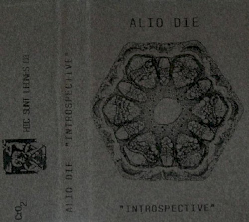 Introspective封面