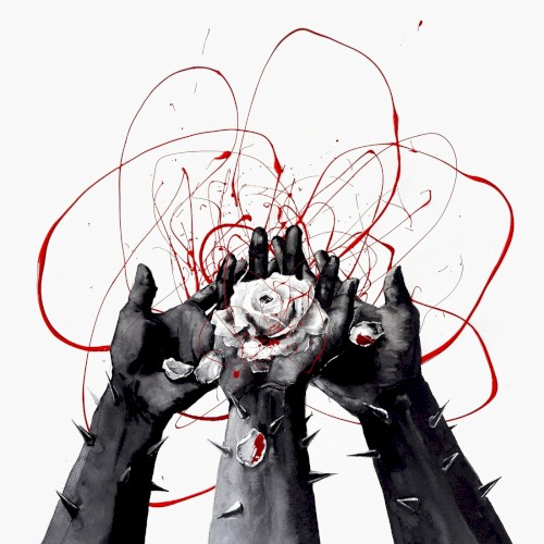 The Lost Petals封面