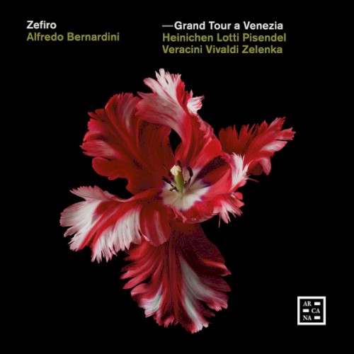 Grand Tour a Venezia封面