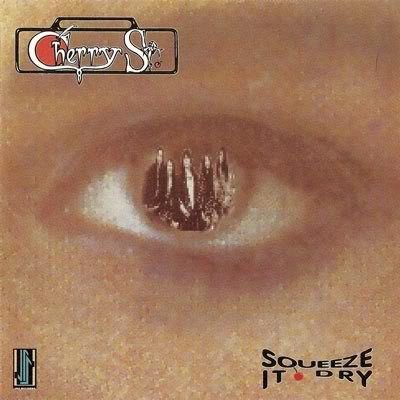 Squeeze It Dry封面
