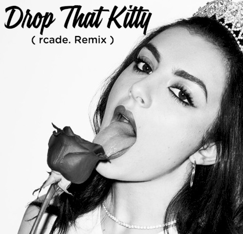 Drop That Kitty (rcade. Remix)封面