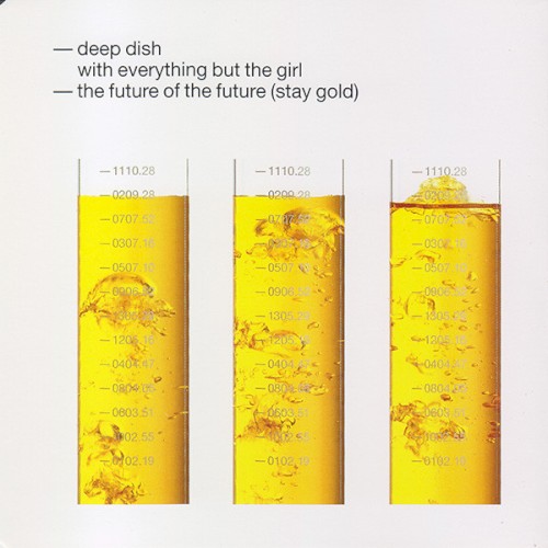 The Future of the Future (Stay Gold)封面